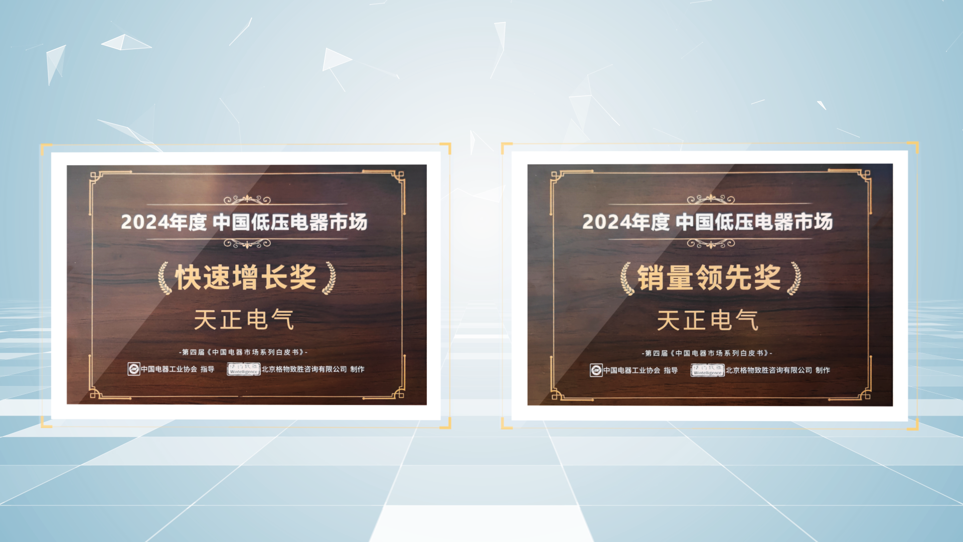 销量领先、快速增长丨云顶集团荣膺2项行业年度大奖